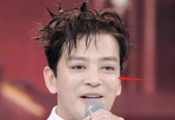 吃瓜鹅明星娱乐