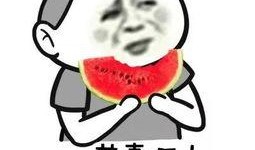 吃瓜群众娱乐大百科视频,揭秘娱乐圈幕后故事与趣味瞬间