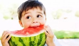 娱乐吃瓜君被点名,揭秘网络红人的崛起与争议