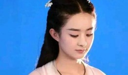 娱乐八卦吃瓜赵丽颖是真的吗吗,娱乐八卦中的真相与谣言