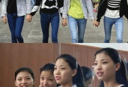 工科女勇闯娱乐圈吃瓜