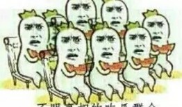 吃瓜娱乐吐槽段子大全,吃瓜娱乐吐槽段子大盘点