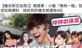 娱乐圈互相吃瓜的小说