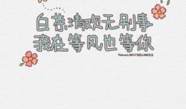 娱乐吃瓜开场白和结束语,吃瓜群众的开场白与结束语