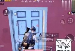 娱乐吃瓜喷子视频,视频背后的真相与争议