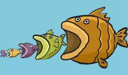 娱乐吃瓜酱可爱小鱼,可爱小鱼带你畅游娱乐圈