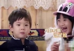 娱乐圈小八卦 吃瓜,揭秘明星们的幕后故事与情感纠葛