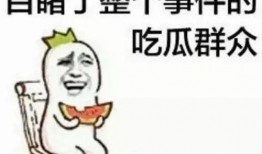 聊娱乐的吃瓜群众评价是真的吗,聊娱乐评价真实性揭秘