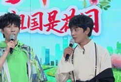 讨论吃瓜娱乐圈,揭秘明星幕后故事