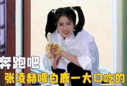 爱豆吃瓜娱乐酱白鹿,爱豆吃瓜娱乐酱，揭秘娱乐圈幕后故事