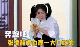 爱豆吃瓜娱乐酱白鹿,爱豆吃瓜娱乐酱，揭秘娱乐圈幕后故事
