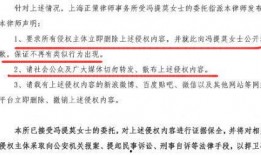 娱乐吃瓜君律师函,揭秘背后真相与法律应对