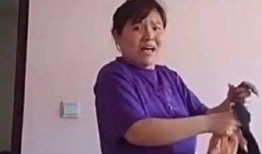 郭老师娱乐吃瓜君,揭秘娱乐圈幕后故事