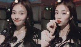 爱豆吃瓜娱乐酱白鹿,爱豆吃瓜娱乐酱，揭秘娱乐圈幕后故事