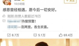 娱乐圈吃瓜故事在线阅读,揭秘幕后吃瓜故事