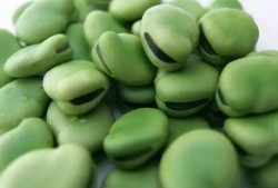 娱乐吃瓜又吃豆,吃瓜吃豆，揭秘娱乐圈幕后故事