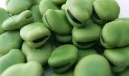 娱乐吃瓜又吃豆,吃瓜吃豆，揭秘娱乐圈幕后故事