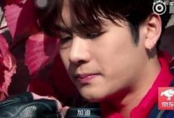 吃瓜娱乐圈王嘉尔是谁啊,娱乐圈的瓜中明星