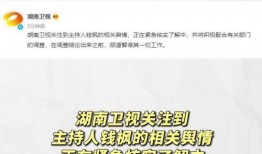 吃瓜娱乐计算机,揭秘娱乐圈背后的故事与真相