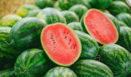 娱乐吃瓜又吃豆,吃瓜吃豆，揭秘娱乐圈幕后故事