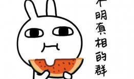 娱乐吃瓜酱奶奶语录全文,揭秘娱乐圈那些不为人知的幕后故事