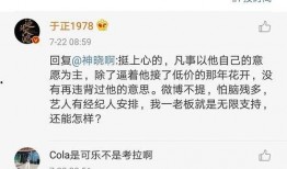 小说推荐娱乐圈吃瓜,揭秘明星背后的吃瓜故事