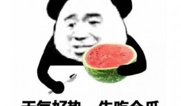 娱乐吃瓜酱现眼包,揭秘明星现眼包背后的故事