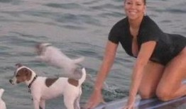 娱乐吃瓜君狗狗,揭秘娱乐圈宠物的趣味生活