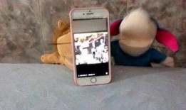 娱乐吃瓜酱手机,揭秘娱乐圈幕后故事，带你领略明星生活点滴