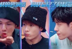 娱乐吃瓜君王嘉尔免费阅读,揭秘娱乐圈的瓜王传奇