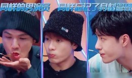 娱乐吃瓜君王嘉尔免费阅读,揭秘娱乐圈的瓜王传奇